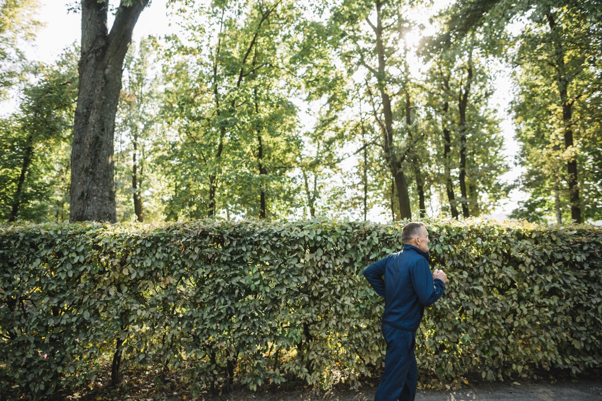 Jak sadzić miskant olbrzymi na żywopłot? Praktyczne porady