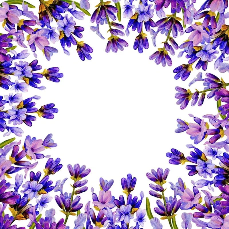 Ramka z kwiatami lawendy na ślub w stylu prowansyjskim