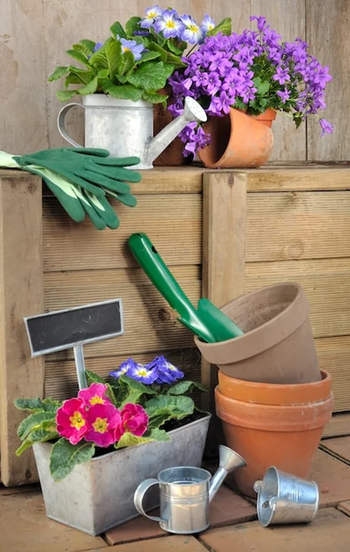 Elementy, które powinny znaleźć się w ogrodzie, aby był funkcjonalny i estetyczny. Jakie akcesoria wybrać do aranżacji?