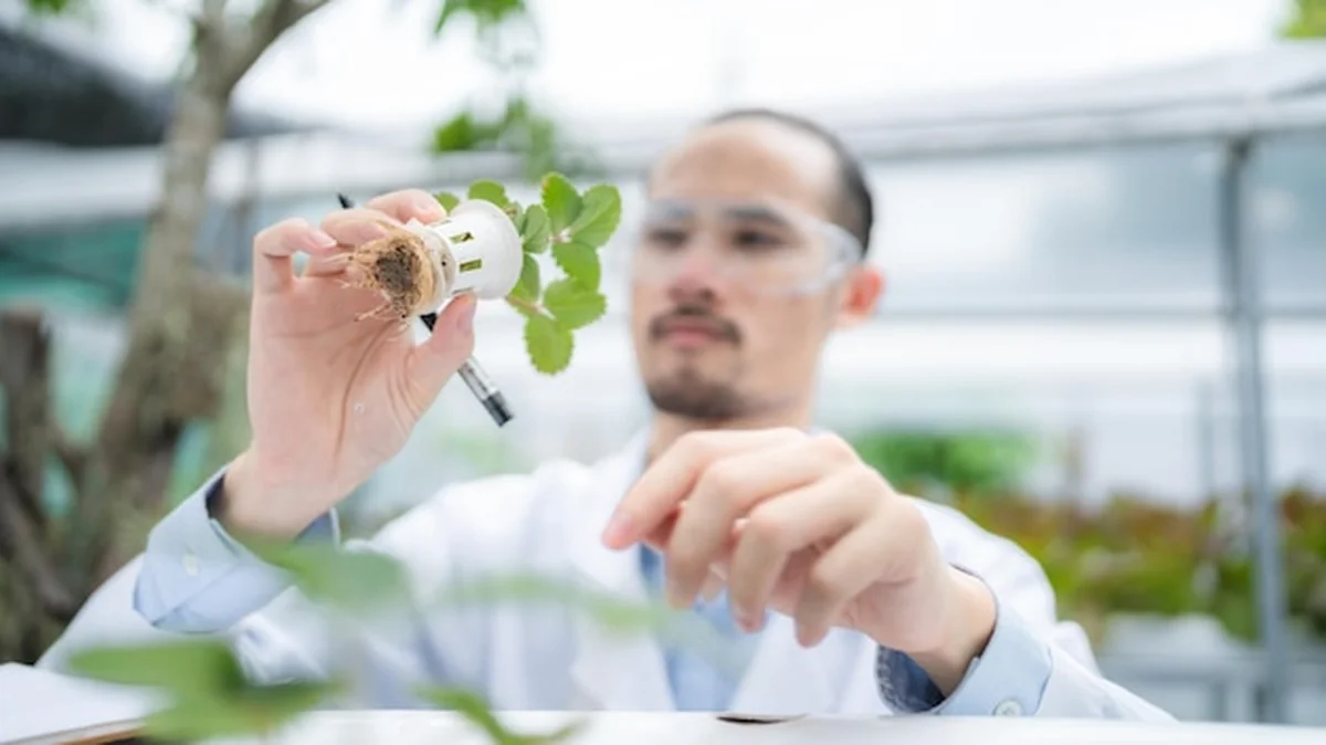 Naukowiec badający zieloną roślinę warzywną w laboratorium biotechnologicznym