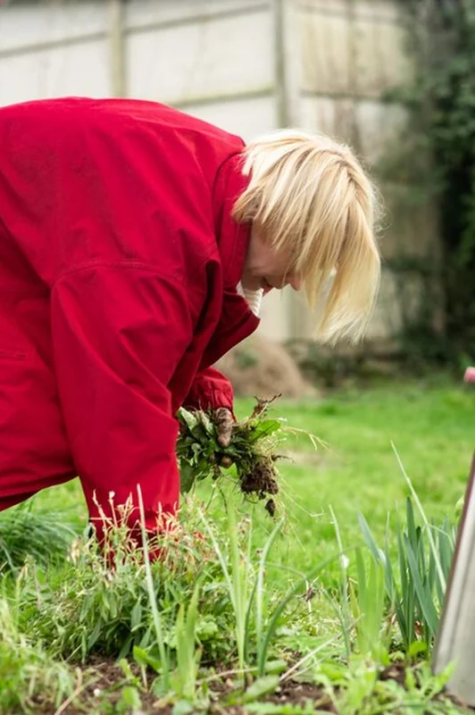 Kobieta zbiera suszone rośliny na trawniku