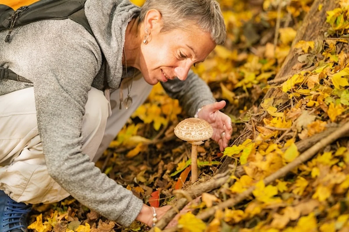 Zbieranie grzybów w lesie