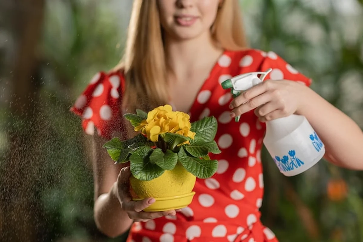 Kobieta podlewa żółte kwiaty w doniczce