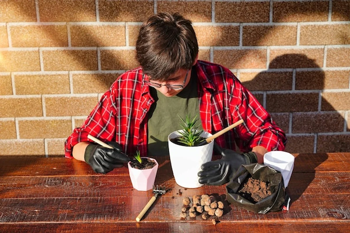 Młody ogrodnik przesadza kwiaty do nowej doniczki z narzędziami ogrodniczymi