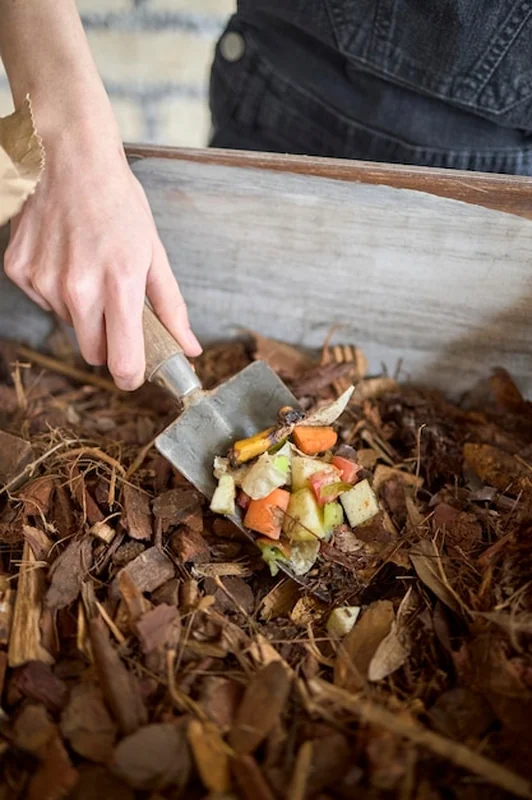 Odpady organiczne i suszone liście w kompostowaniu