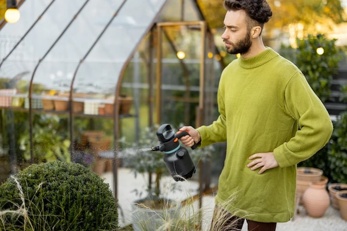 Facet przycina okrągły krzak nożyczkami