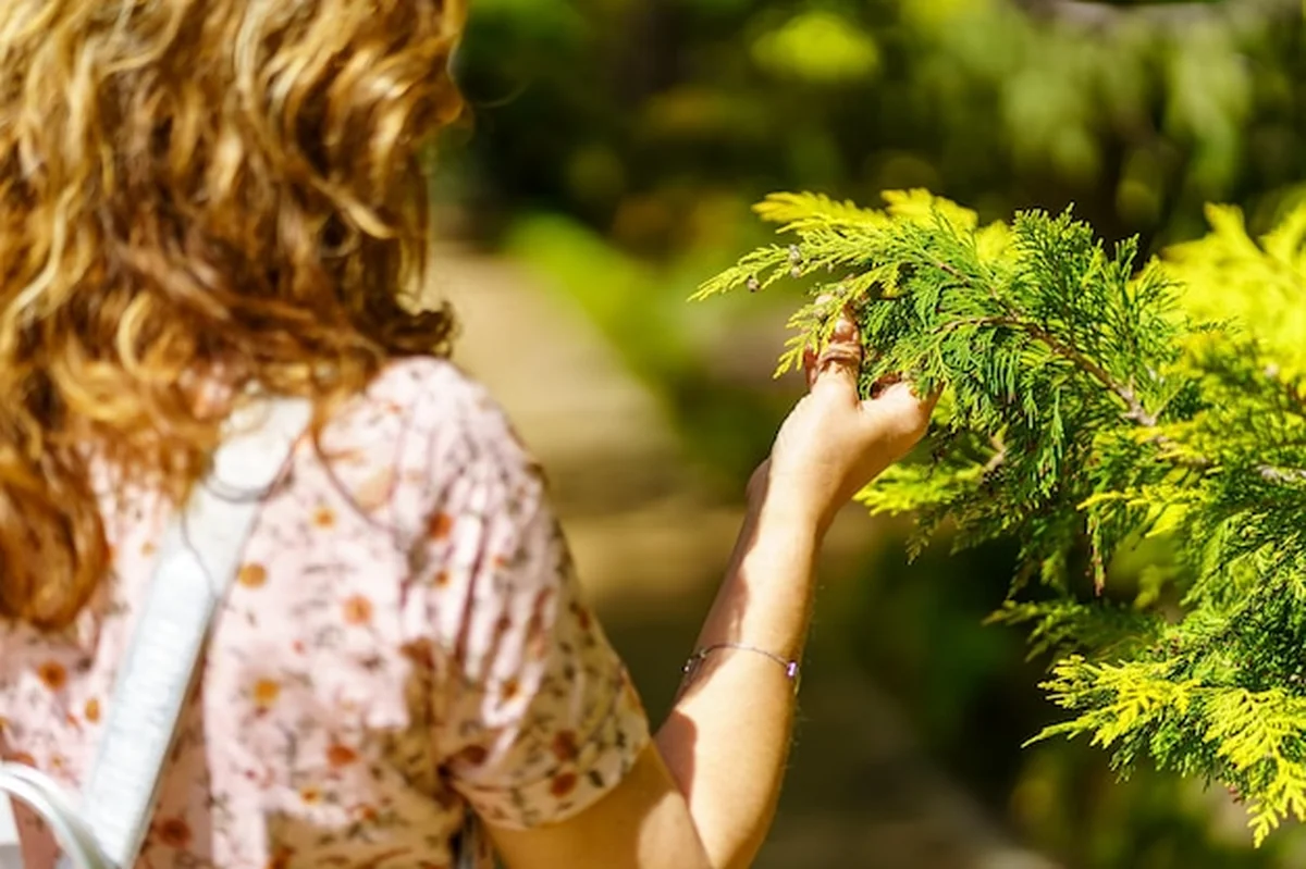 Kobieta trzymająca roślinę i podziwiająca jej piękno