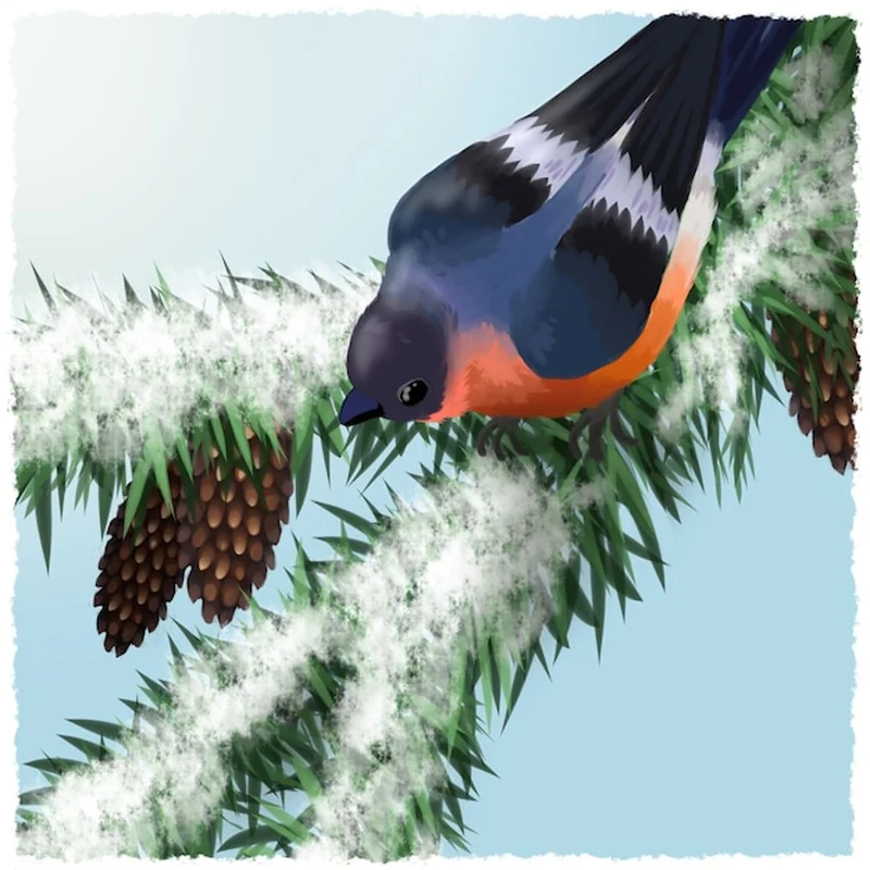 Naturalny wróg sikorki – jak chronić ptaki przed zagrożeniem?