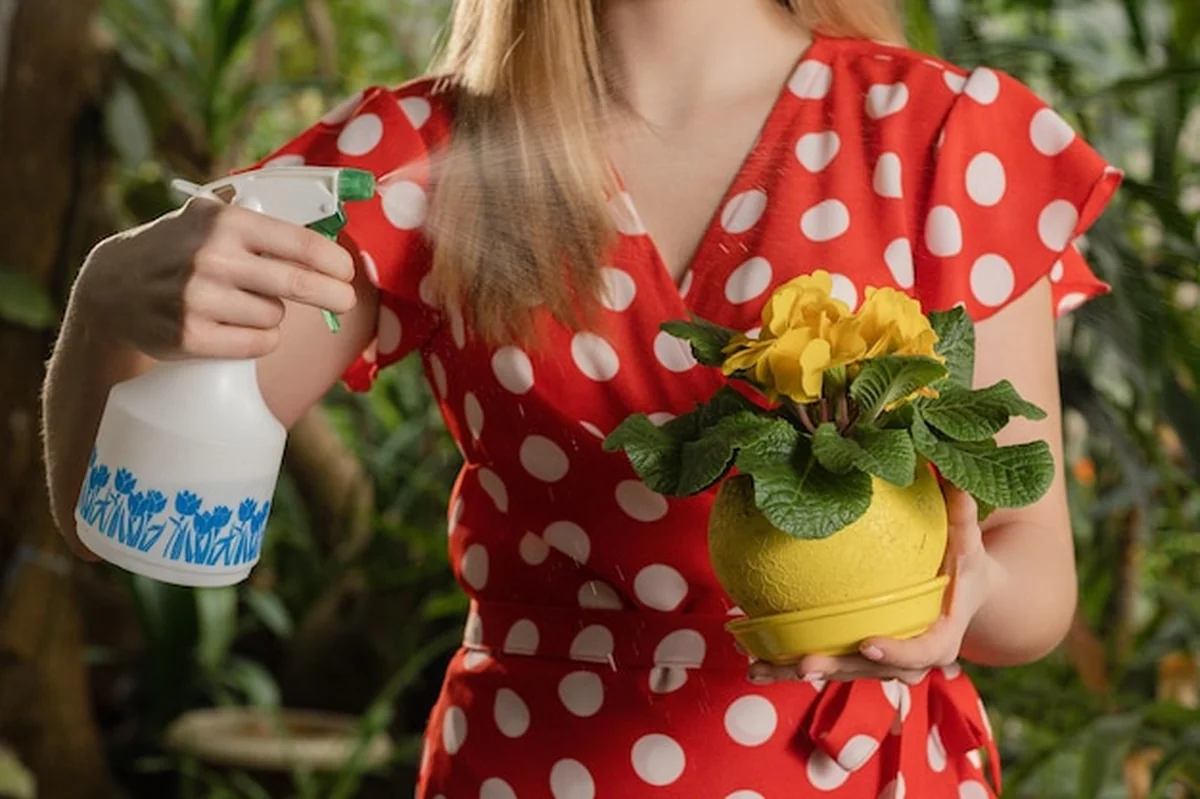 Kobieta podlewa żółte kwiaty w doniczce