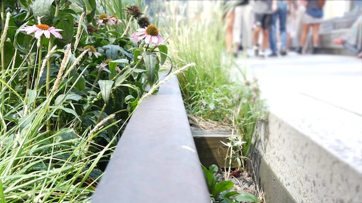 Nowy Jork High Line w parku publicznym z ludźmi