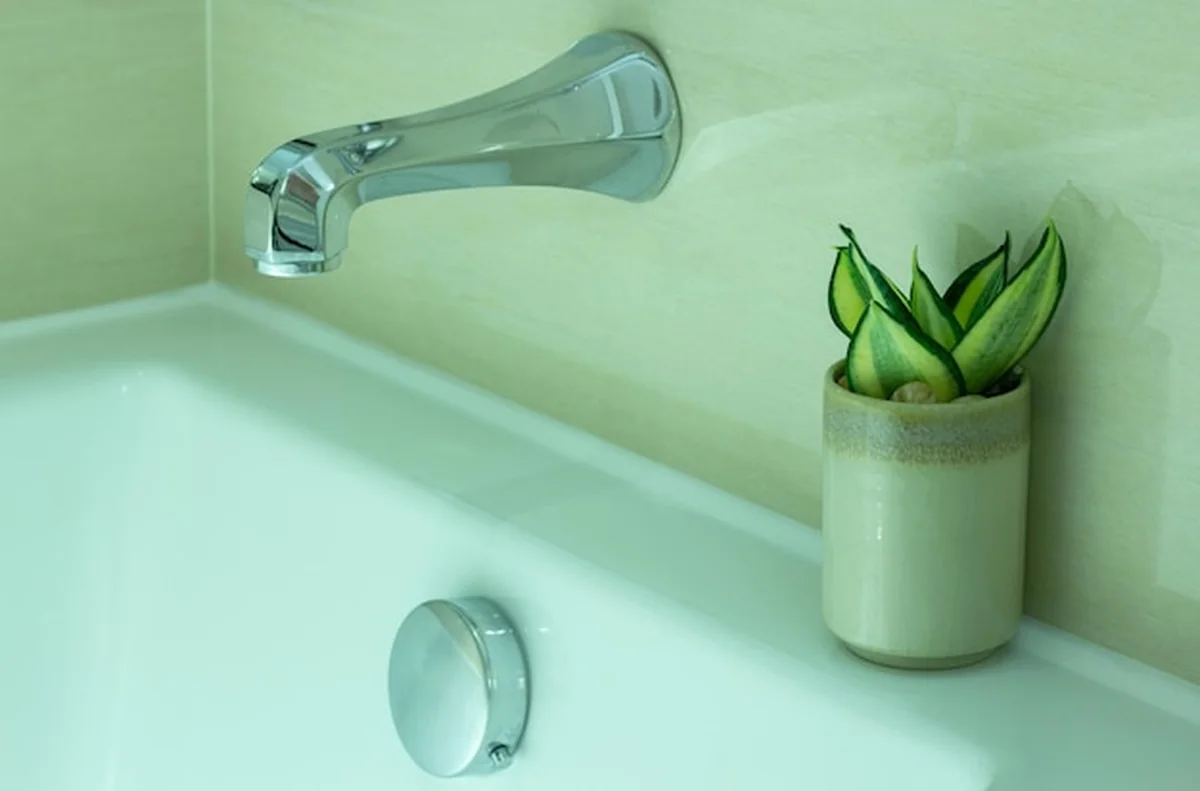 Nowoczesna bateria wannowa i roślina doniczkowa w łazience