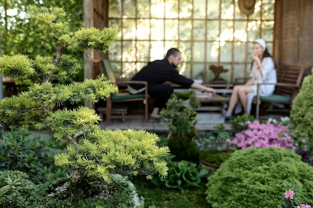 Ceremonia parzenia herbaty w altanie ogrodowej