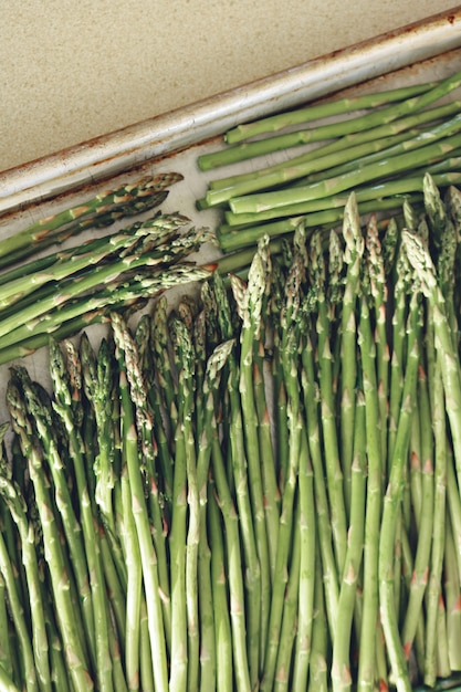 Asparagus ogrodowy uprawa